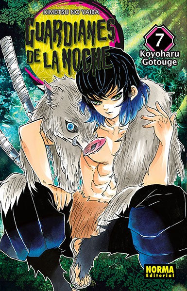 Portada de Guardianes de la noche 07 en castellano — Norma Editorial